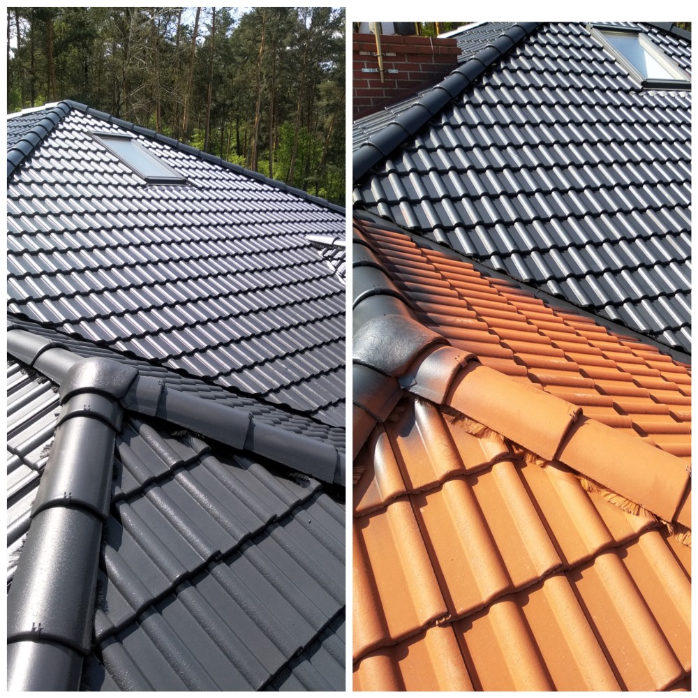 Mycie i malowanie dachów Poznań Śrem Wielkopolska